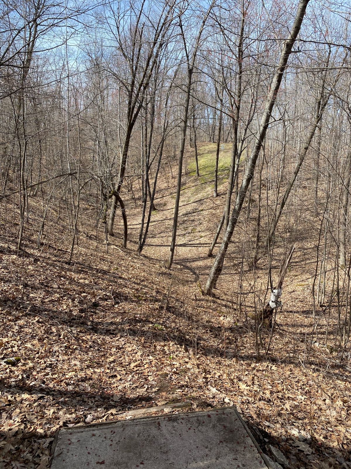 Hole 20 tee at Tjader Acres
